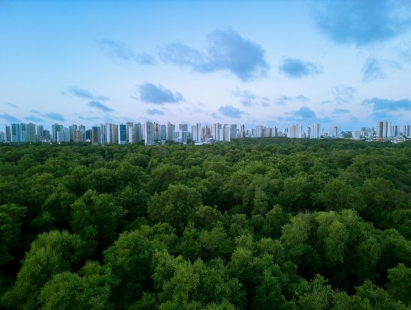 Découvrez comment sélectionner l"emplacement parfait pour vos panneaux solaires sur le toit : le guide incontournable !
